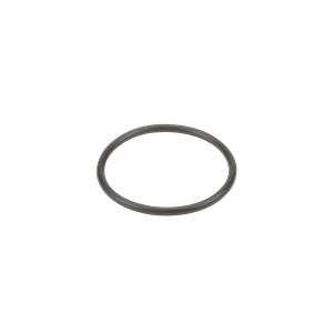 3/4'' & 1'' POLY T STRAINER GASKET
