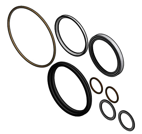 2'' FP DM REPAIR KIT