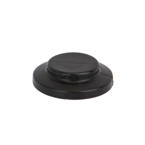 1'' FLANGE PLUG